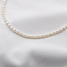 Lade das Bild in den Galerie-Viewer, Süßwasser-Perlenkette | Sterling Silber, vergoldet | pél yo

